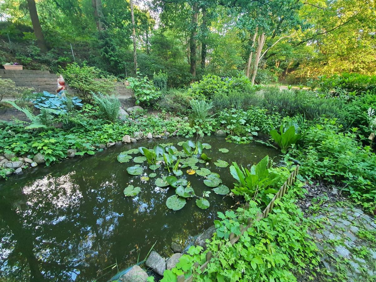 Apartment Bei Hamburg Bis 10 Personen Mit Terasse Und Gartennutzung. Buchholz in der Nordheide Bagian luar foto